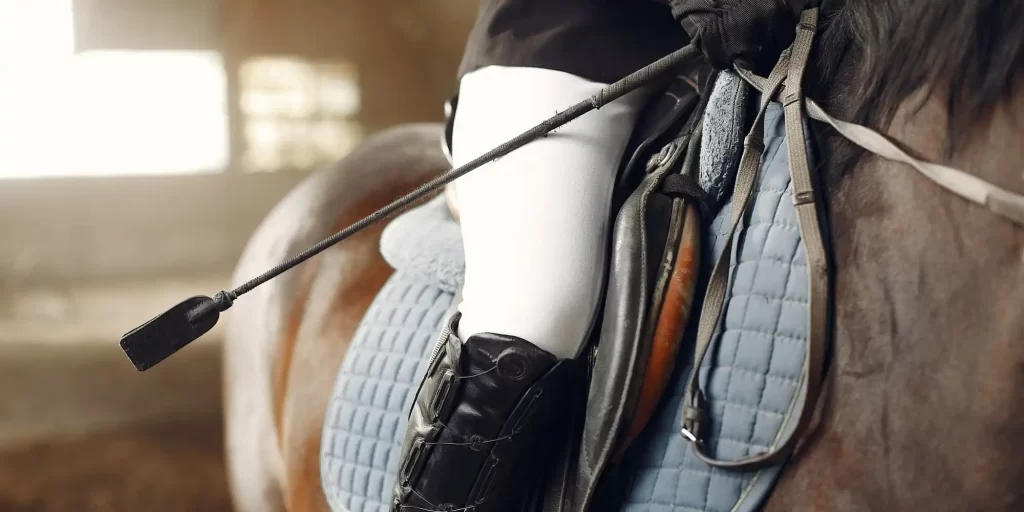The woman in the saddle is wearing a black leotard and white pants. She holds a long whip and prepares to ride on the horse. The rider's helmet, boots, and riding boots show an air of professionalism. Her horse is in a gallop or at a standstill and seems to be enjoying the pleasure of the exercise.